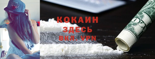 соль ск Алзамай