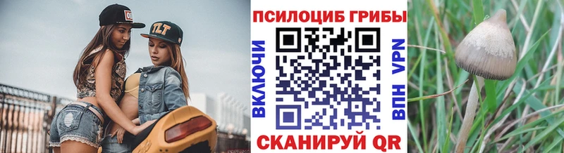 Галлюциногенные грибы Magic Shrooms  Крымск 